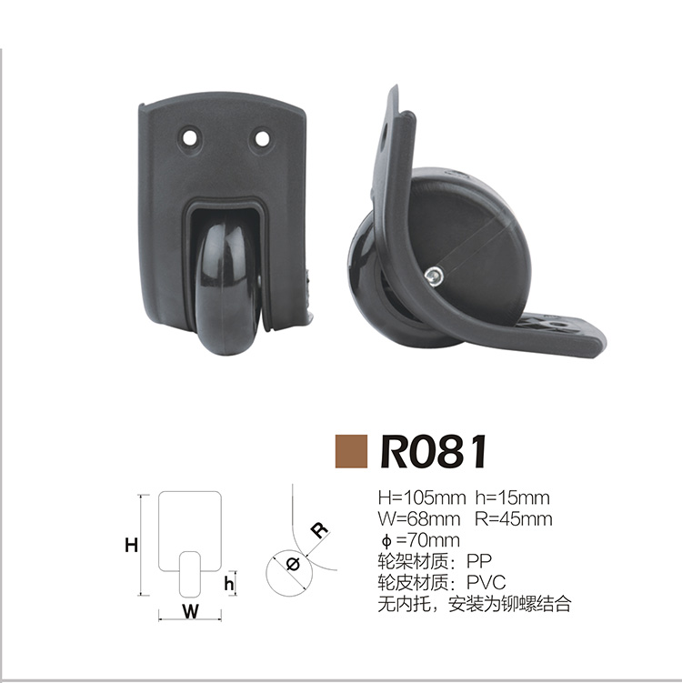 R081